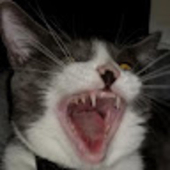 Meet your Posher, Kate - Picture 1 of 1